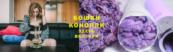 трава Баксан