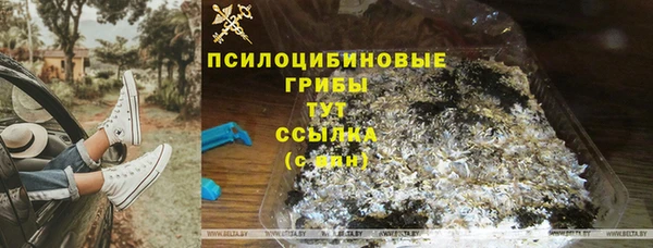 каннабис Аркадак