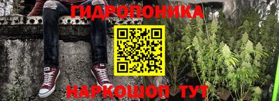 прущие крисы Ангарск
