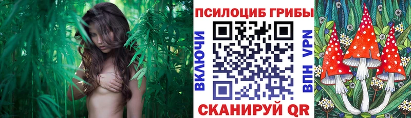 Галлюциногенные грибы GOLDEN TEACHER  ОМГ ОМГ как зайти  Пятигорск 
