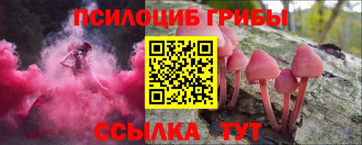 Псилоцибиновые грибы прущие грибы  купить наркотик  Пятигорск  Вход с VPN 