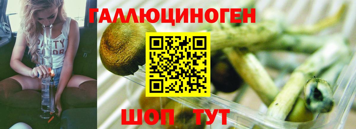 Галлюциногенные грибы Magic Shrooms Пятигорск